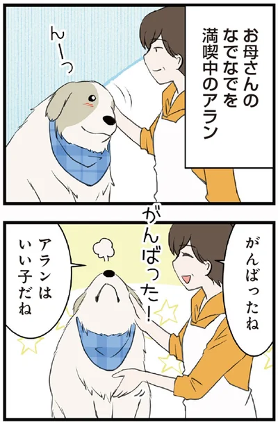 お母さんのなでなでを満喫中のアラン