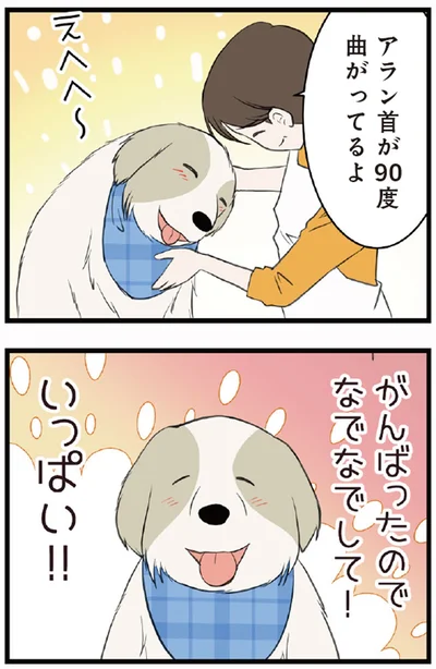 がんばったのでなでなでして！