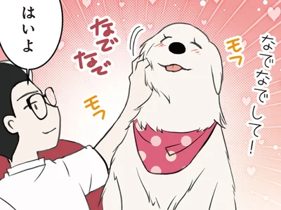 「もっとなでて！」正月を満喫する大型犬のおねだりが止まらない