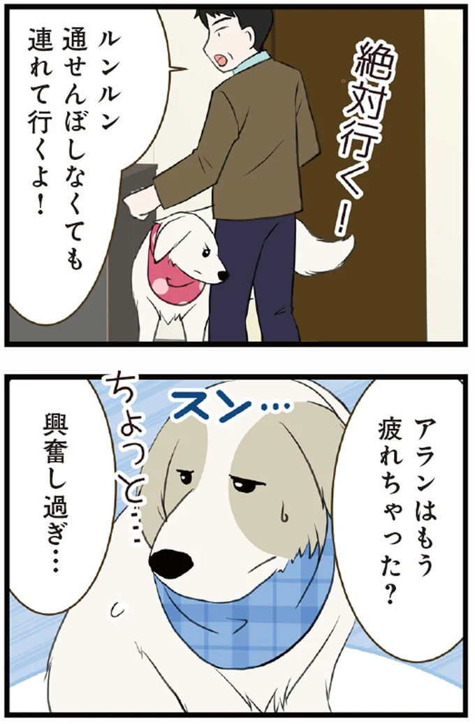 『今日のルンルン２ 超大型犬は愛もでかい』より