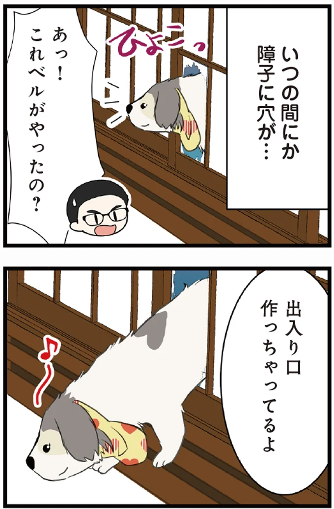 『今日のルンルン２ 超大型犬は愛もでかい』より