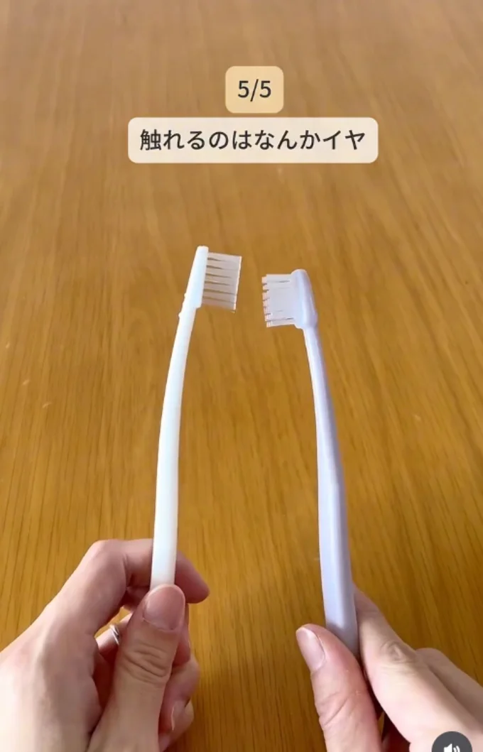 歯ブラシ同士が触れるのはちょっと…▶ビニール手袋の指部分に…(⇒次へ)