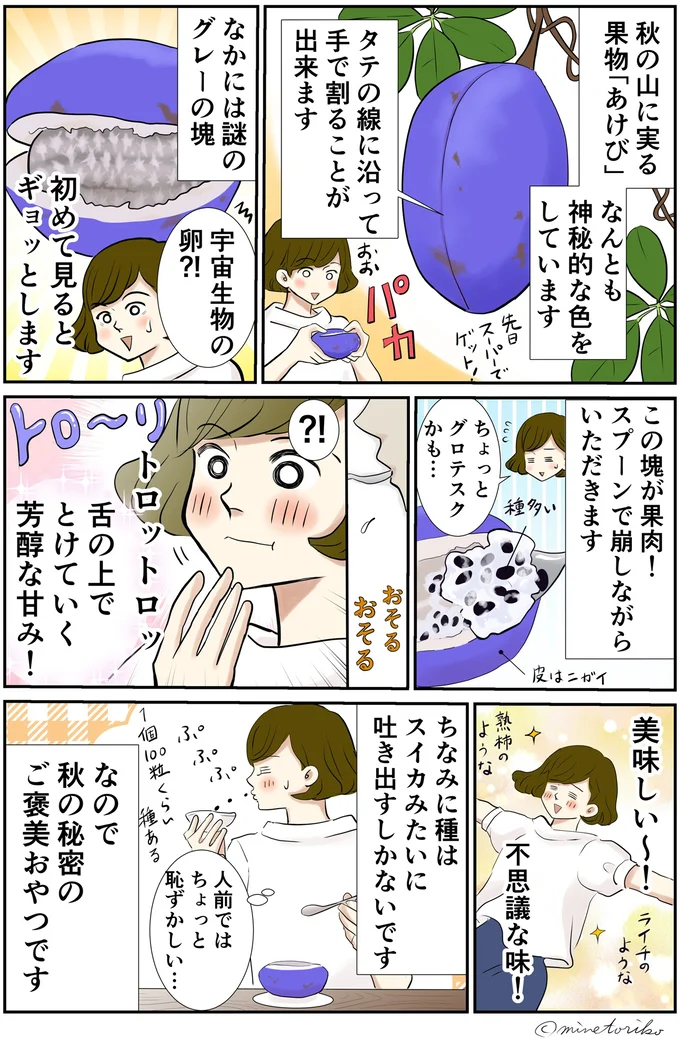 秋の山に実る果物「あけび」