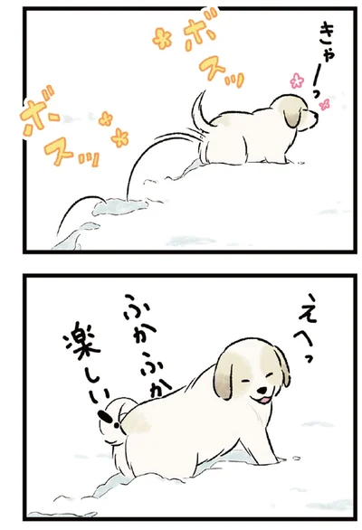 ふかふか楽しい！