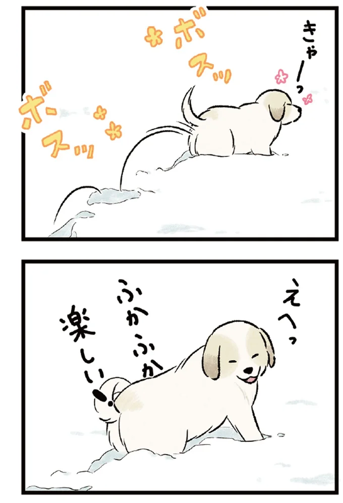 ふかふか楽しい!