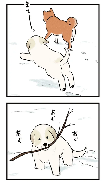 まてーーーーーーっ