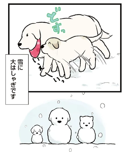 雪に大はしゃぎです