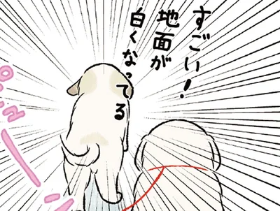 「雪だ！」真っ白な景色に大興奮する大型犬たちが可愛すぎる！