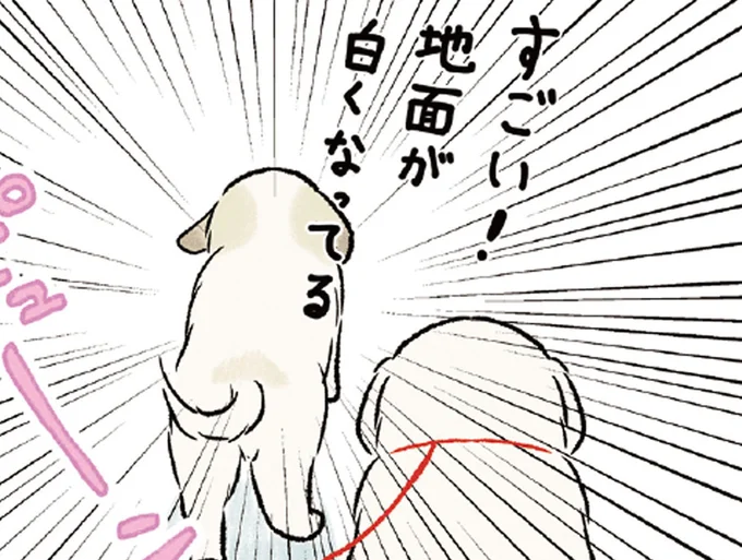 「雪だ!」真っ白な景色に大興奮する大型犬たちが可愛すぎる!