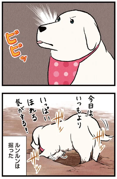 穴掘り職人・ルンルン