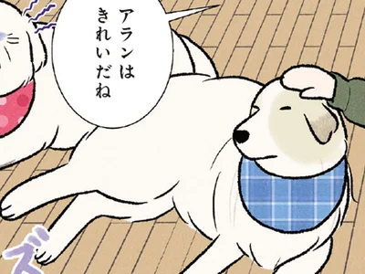 後輩犬ばかり褒められて大型犬が嫉妬!? 「私も！」のアピールが可愛い