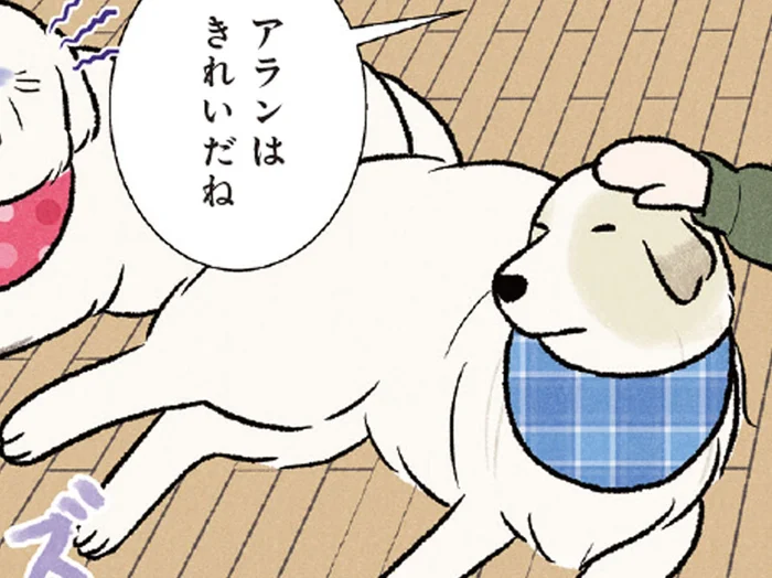 後輩犬ばかり褒められて大型犬が嫉妬!? 「私も！」のアピールが可愛い