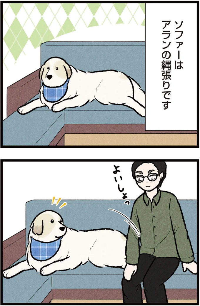 ソファーはアランの縄張りです