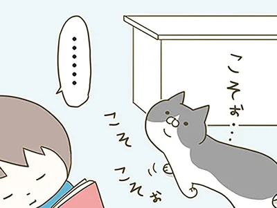 コソコソする猫