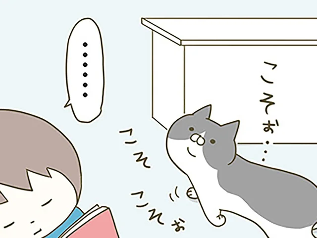 イタズラする気だな？ 飼い主を見上げてコソコソする猫の行方は