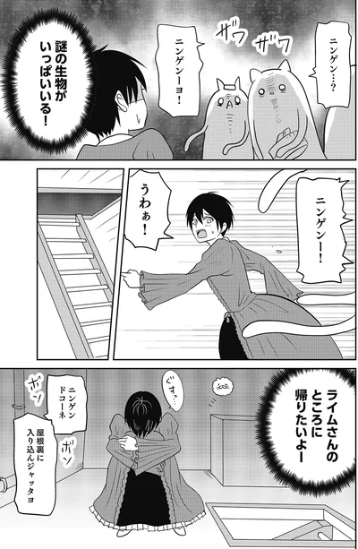 ニンゲン　ドコーネ