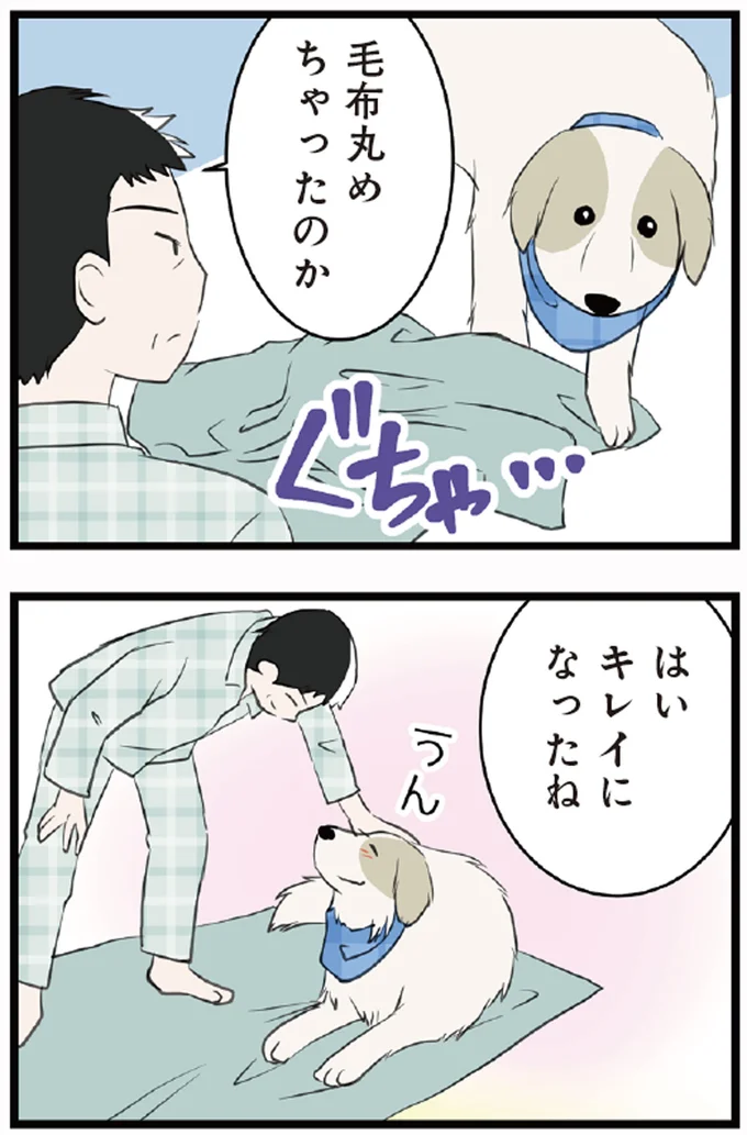 毛布丸めちゃったのか