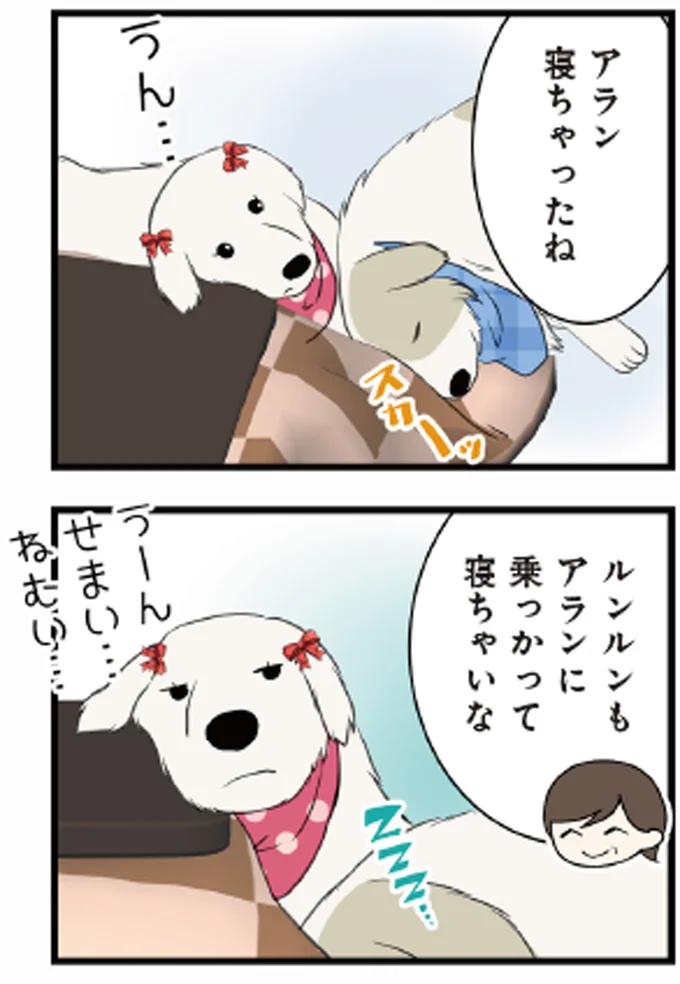 アラン寝ちゃったね