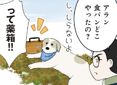 食パンが消えた！ 真っ先に疑われた大型犬の反応は？