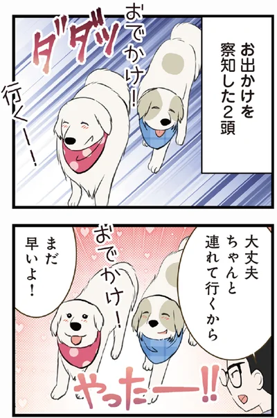 お出かけを察知した2頭