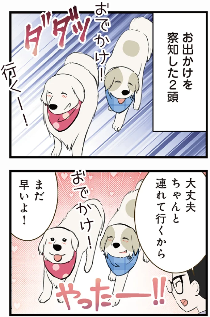 お出かけを察知した2頭