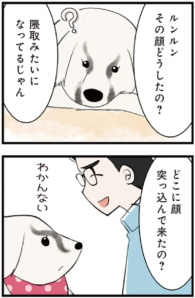 ルンルン、その顔どうしたの？