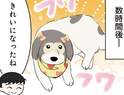 シャンプーしたばかりの大型犬。数時間後の姿に飼い主がぼう然！