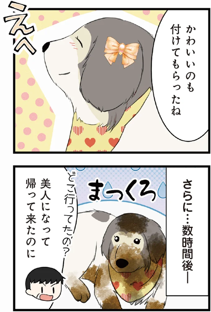 さらに...数時間後!