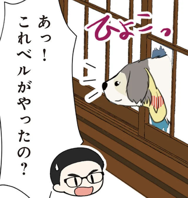 障子に大きな穴を発見。“犯人”らしき大型犬がしらじらしい！