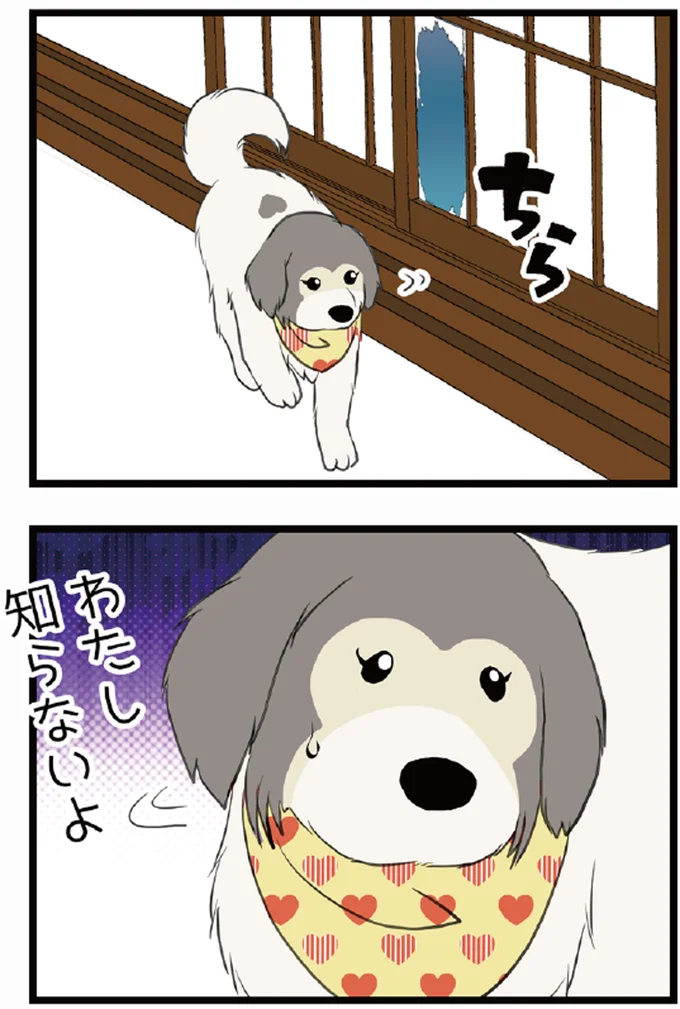 わたし知らないよ