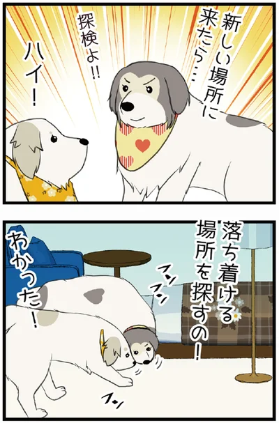 新しい場所に来たら...探検よ！