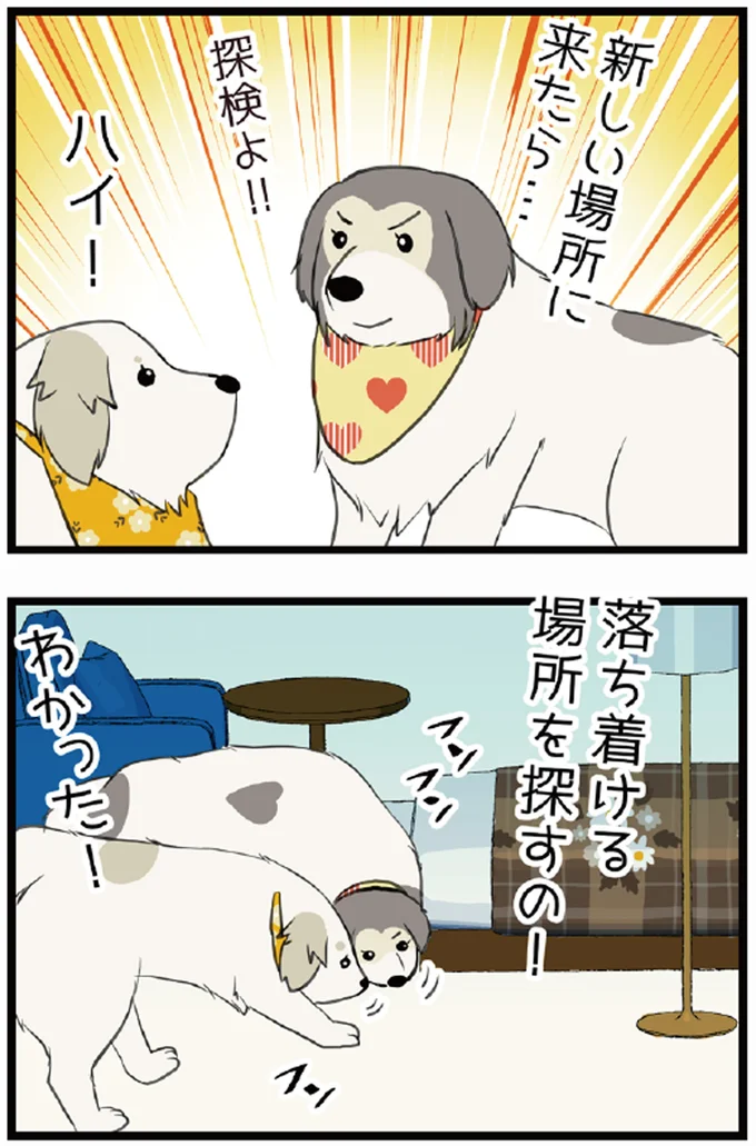 新しい場所に来たら...探検よ!