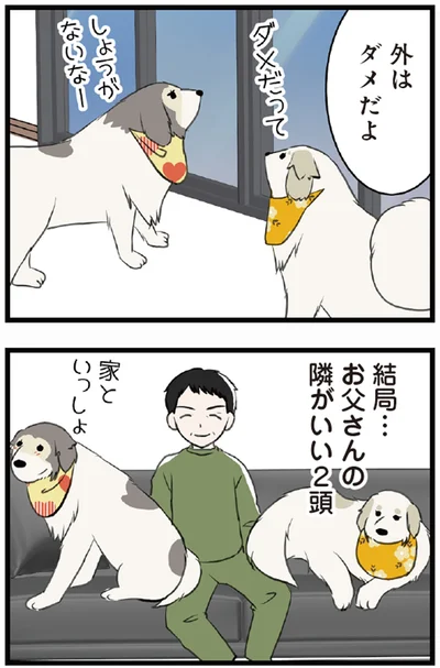 外はダメだよ