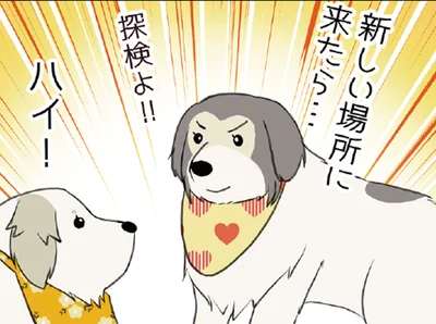 大型犬と一緒に家族旅行。ウキウキでお部屋を探検していると思ったら？