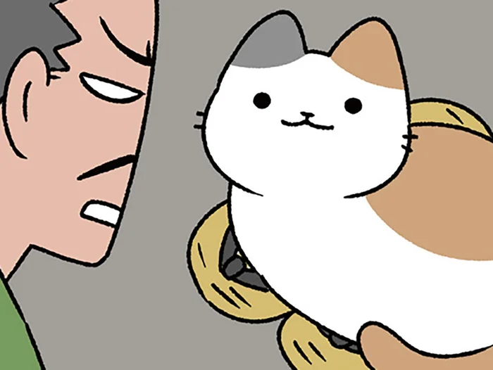 【信長とねこ】草履の上にねこ！ 外出したい信長はどうする？