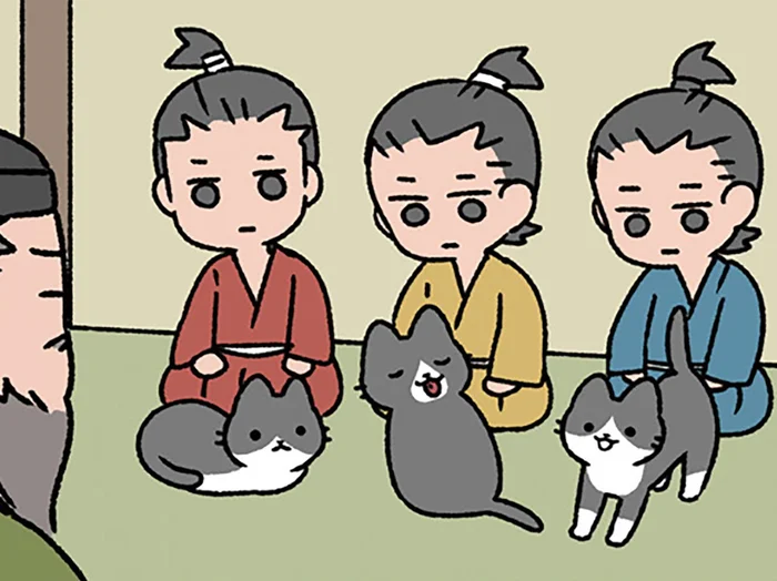 【3匹のねこの教え】かわいさ3倍!? ねこに学ぶ、結束の大切さ