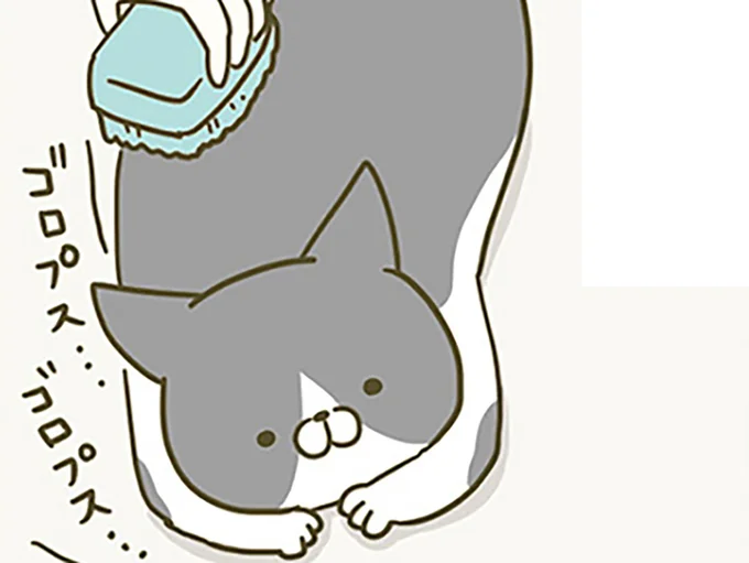 ブラッシングの好き嫌い