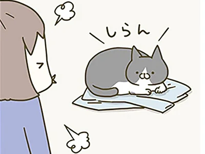 今日着る服の上に猫が！