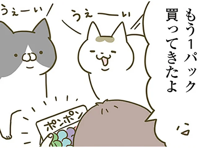 猫がよく遊ぶ手芸用のポンポン。なくしがちなのでもう1パック追加すると