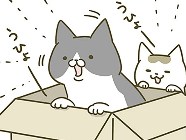 うちの猫に大人気な通販のダンボール。いつの間にか形状が進化していたようで？