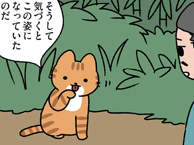 【山月記のねこ】ああ、素直に羨ましい。ねこになった我が友、李徴
