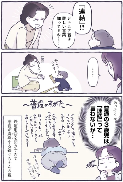 普通の3歳児は「連結」って言わないか…