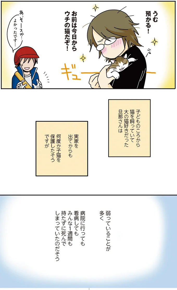今日からウチの猫だぞ!