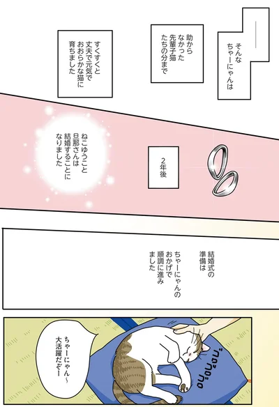『世界一幸せな飼い主にしてくれた猫』より