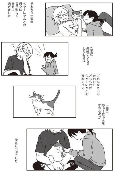 『世界一幸せな飼い主にしてくれた猫』より