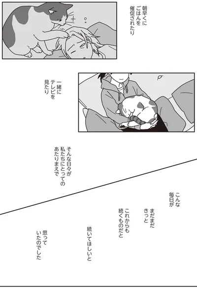 『世界一幸せな飼い主にしてくれた猫』より