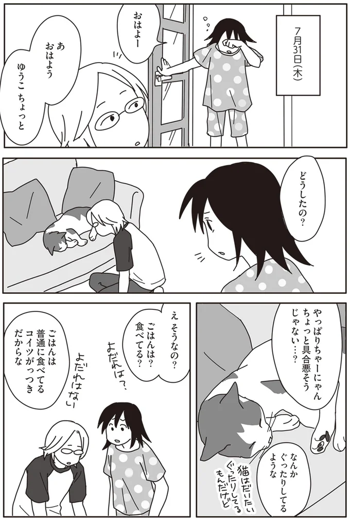 『世界一幸せな飼い主にしてくれた猫』より
