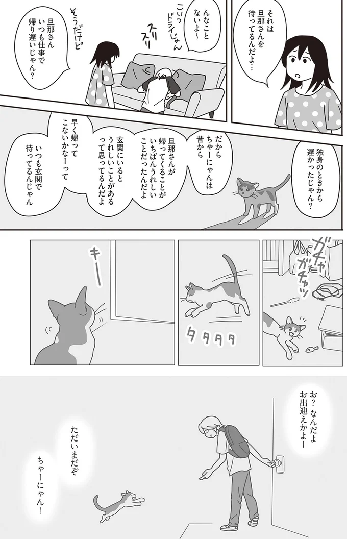 『世界一幸せな飼い主にしてくれた猫』より