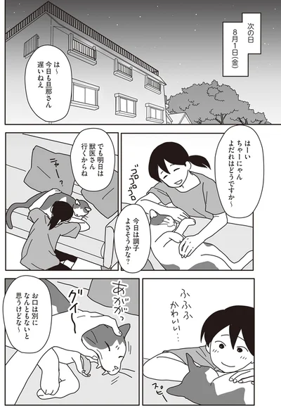 『世界一幸せな飼い主にしてくれた猫』より