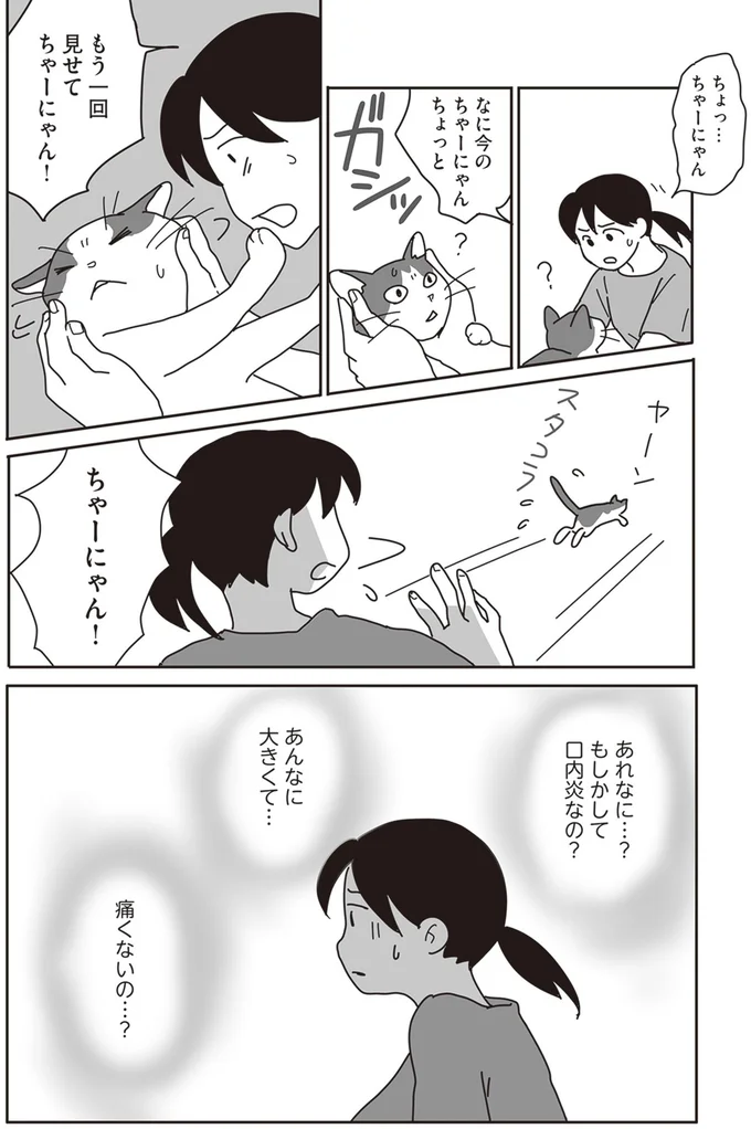 『世界一幸せな飼い主にしてくれた猫』より